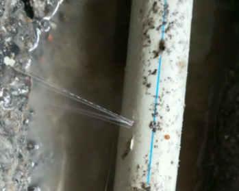泸州市卫生间测漏水多少钱