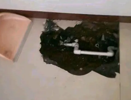 泸州市卫生间测漏水多少钱
